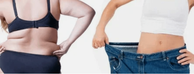 Diet menu principles are loved